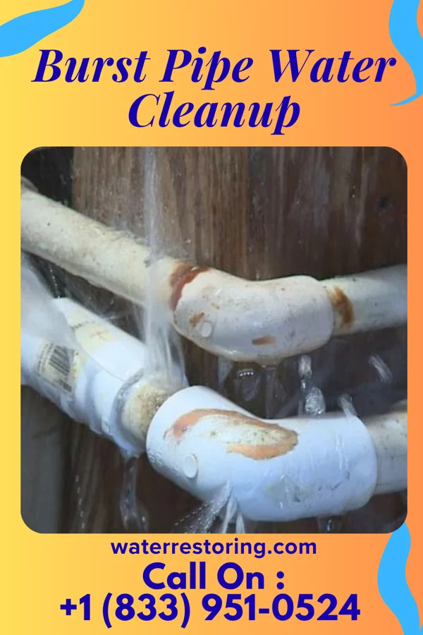 Burst Pipe Water Cleanup in Glenmont, MD