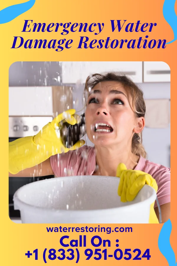 Emergency Water Damage Restoration in Glenmont, MD