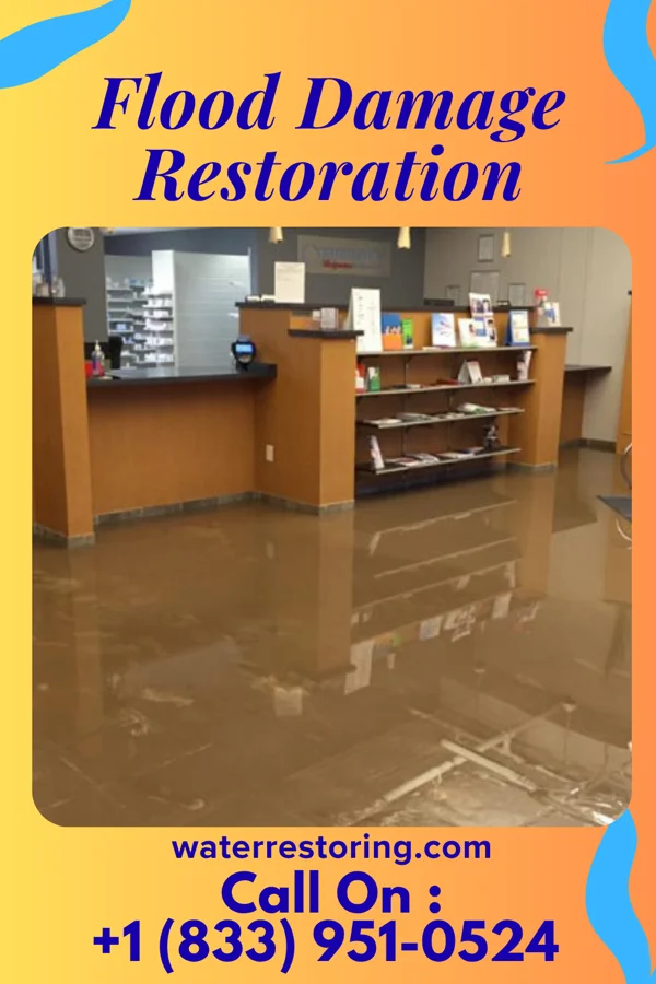 Flood Damage Restoration in Glenmont, MD