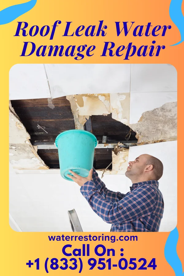 Roof Leak Water Damage Repair in Glenmont, MD