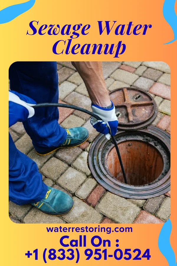 Sewage Water Cleanup in Glenmont, MD